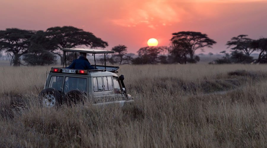 Safari en Kenia y Tanzania