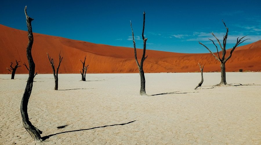 Paquete a Namibia