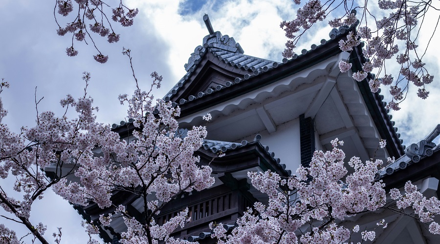 Grupal a Corea y Japón