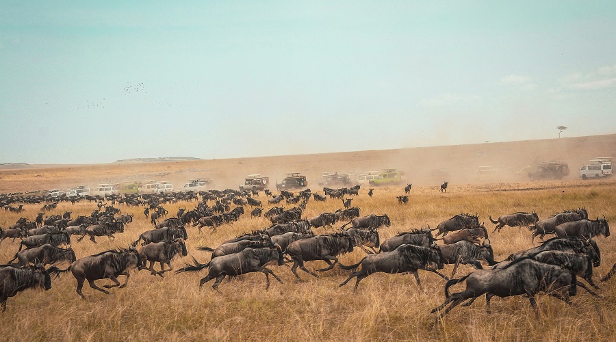 Viaje a Kenia