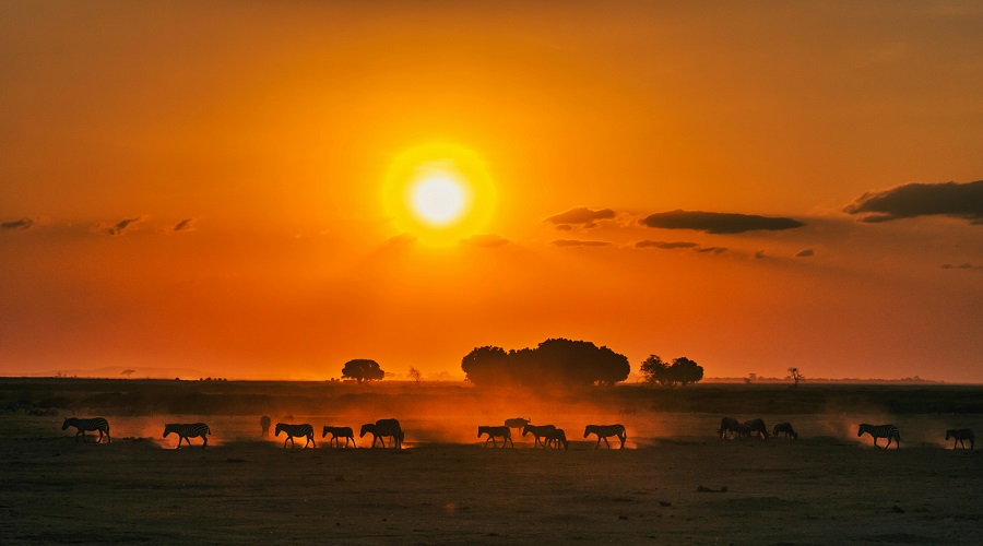 Paquete grupal a Kenia y Tanzania